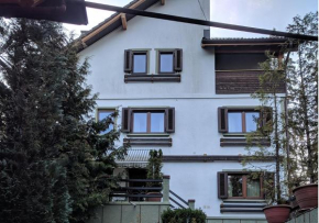 Vila Liz Predeal